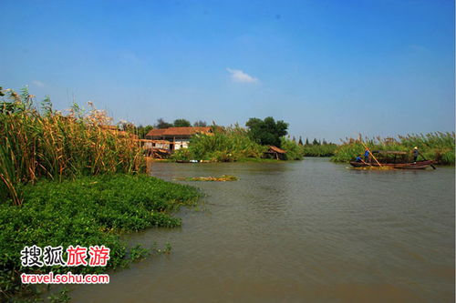 國慶預(yù)演 尋個鄉(xiāng)野味十足的悠閑地