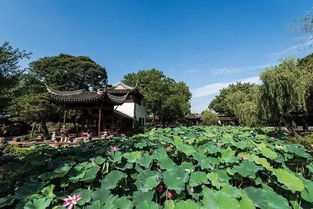 每日趣談 假期旅行了解一下 這些絕佳旅行地,填滿你的假期