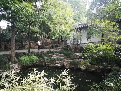 國慶黃金周蘇州旅游市場繁榮，沙家浜接待游客700萬人次創佳績