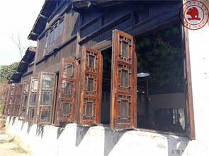 沙家浜慢走 一家人的水鄉(xiāng)時(shí)光漫記