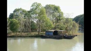 紅色水鄉，詩畫沙家浜——一段穿越歷史與自然的旅程