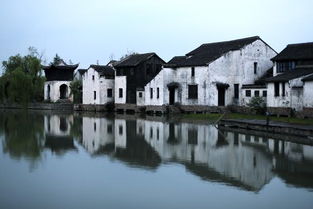 常熟沙家浜水上花田，三天兩夜夢棲江南全攻略