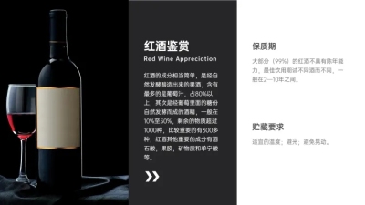 產(chǎn)品展示頁模板設(shè)計(jì)與制作指南 圖文結(jié)合的視覺傳達(dá)藝術(shù)